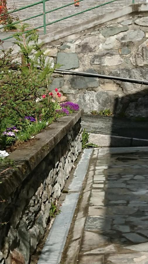 B&B Maison Odille ヴァルトゥルナンシュ エクステリア 写真
